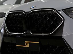 
										BMW X2 2.0 TURBO GASOLINA XDRIVE20I M SPORT STEPTRONIC cheio									