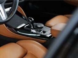 
										BMW X4 3.0 TWINPOWER GASOLINA M40I STEPTRONIC cheio									