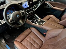 
										BMW X6 3.0 TWINPOWER GASOLINA XDRIVE40I M SPORT AUTOMÁTICO cheio									