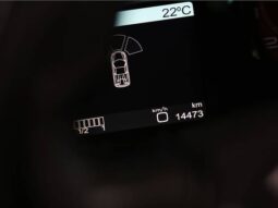 
										FERRARI 458 SPIDER 4.5 V8 GASOLINA F1-DCT cheio									