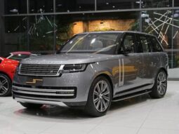 
										LAND ROVER RANGE ROVER SPORT 3.0 P550e PHEV AUTOBIOGRAPHY AWD AUTOMÁTICO cheio									
