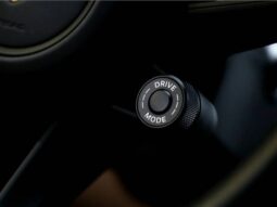 
										PORSCHE CAYENNE 3.0 V6 E-HYBRID AWD TIPTRONIC S cheio									