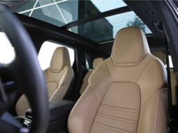 
										PORSCHE CAYENNE 3.0 V6 E-HYBRID AWD TIPTRONIC S cheio									