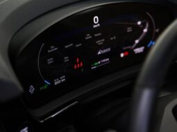 
										PORSCHE CAYENNE 3.0 V6 E-HYBRID AWD TIPTRONIC S cheio									