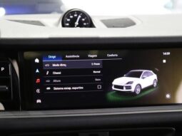 
										PORSCHE CAYENNE 3.0 V6 E-HYBRID COUPÉ AWD TIPTRONIC S cheio									