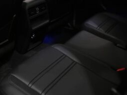 
										PORSCHE CAYENNE 3.0 V6 E-HYBRID COUPÉ AWD TIPTRONIC S cheio									