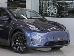 TESLA MODEL Y P100D PERFORMANCE AWD ELÉTRICO