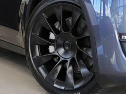 TESLA MODEL Y P100D PERFORMANCE AWD ELÉTRICO
