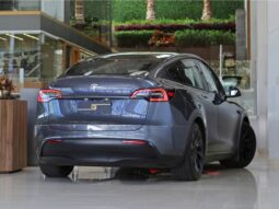 TESLA MODEL Y P100D PERFORMANCE AWD ELÉTRICO