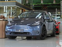 
										TESLA MODEL Y P100D PERFORMANCE AWD ELÉTRICO cheio									