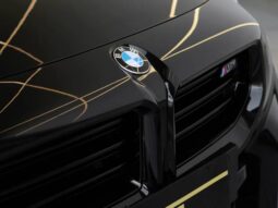 
										BMW M2 3.0 I6 TWINTURBO GASOLINA COUPÉ M STEPTRONIC cheio									