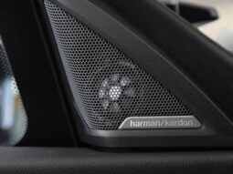 
										BMW M2 3.0 I6 TWINTURBO GASOLINA COUPÉ M STEPTRONIC cheio									