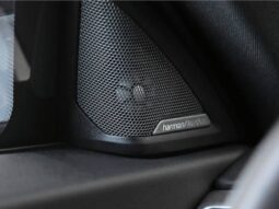 
										BMW M2 3.0 I6 TWINTURBO GASOLINA COUPÉ M STEPTRONIC cheio									