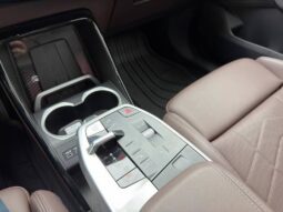
										BMW X1 2.0 16V TURBO GASOLINA SDRIVE20I X-LINE STEPTRONIC cheio									