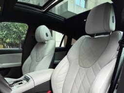
										BMW X6 3.0 TWINPOWER GASOLINA XDRIVE40I M SPORT AUTOMÁTICO cheio									