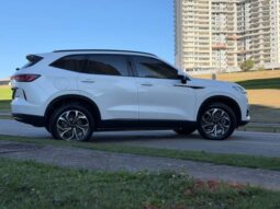 
										GWM HAVAL H6 1.5 PHEV PREMIUM AWD E-TRACTION cheio									