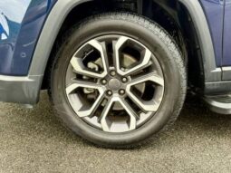 
										JEEP COMMANDER 1.3 T270 TURBO FLEX LIMITED AT6 cheio									