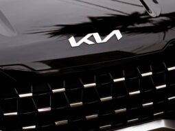 
										KIA CARNIVAL 3.5 V6 GASOLINA EX AUTOMATICO cheio									