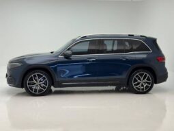 
										MERCEDES-BENZ EQB 250 66,5 KW ELÉTRICO cheio									