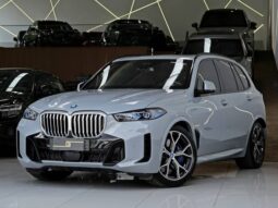 
										BMW X5 3.0 I6 TURBO HÍBRIDO XDRIVE50E M SPORT AUTOMÁTICO cheio									