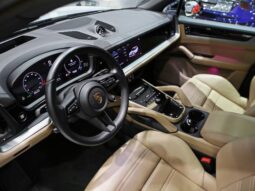
										PORSCHE CAYENNE 3.0 V6 E-HYBRID AWD TIPTRONIC S cheio									